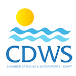 CDWS